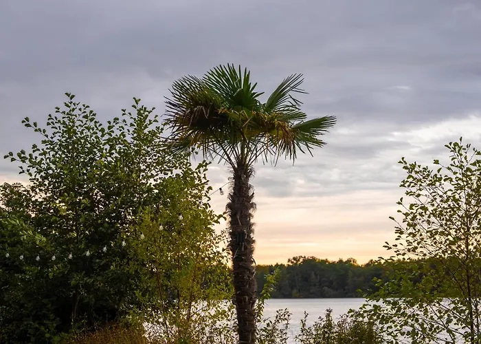 Charmantes Tiny House Am Mit Outdoor-sauna